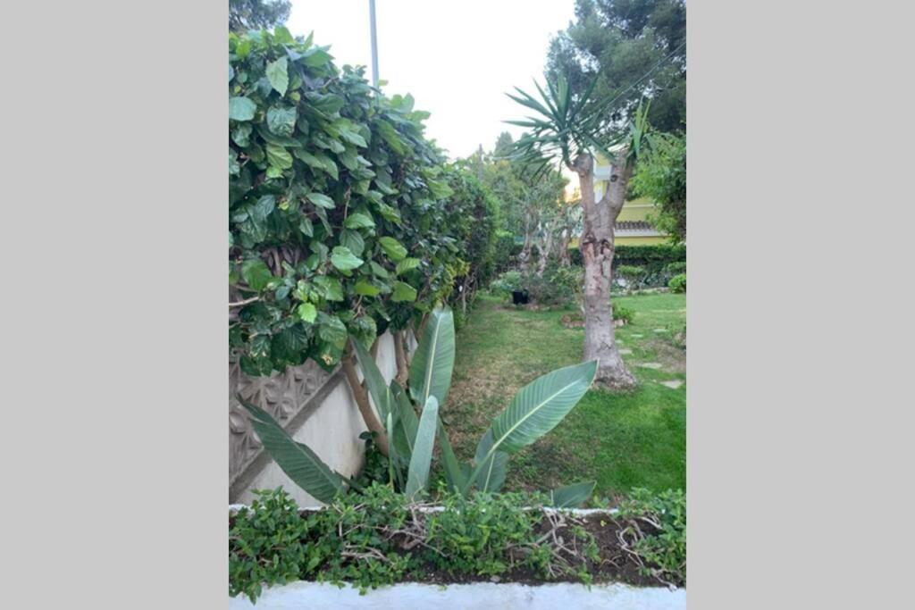 Apartamento La Dorada Torremolinos Exteriér fotografie